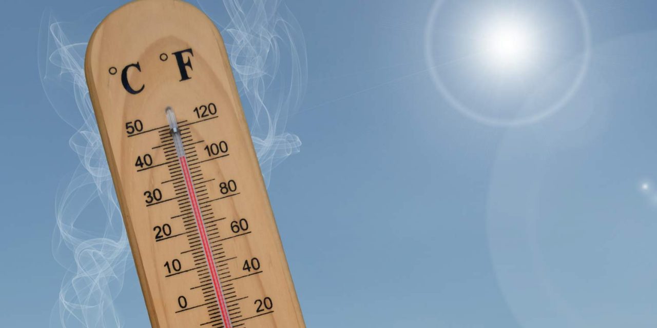 Canicule, odeurs d’égout : les causes et les solutions efficaces avec Goossens.pro