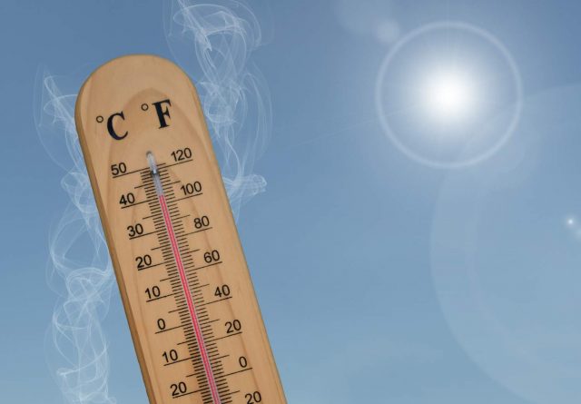 Canicule, odeurs d’égout : les causes et les solutions efficaces avec Goossens.pro