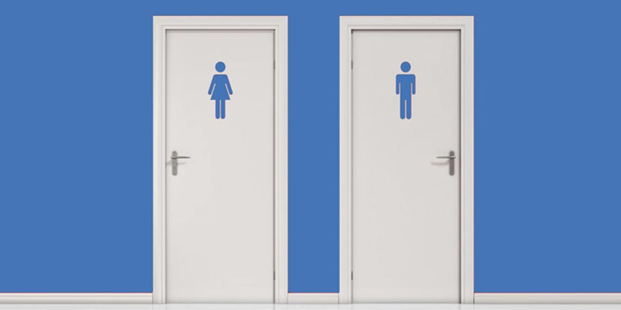 Débouchage WC – Méthodes Simples et Rapides pour un Résultat Efficace