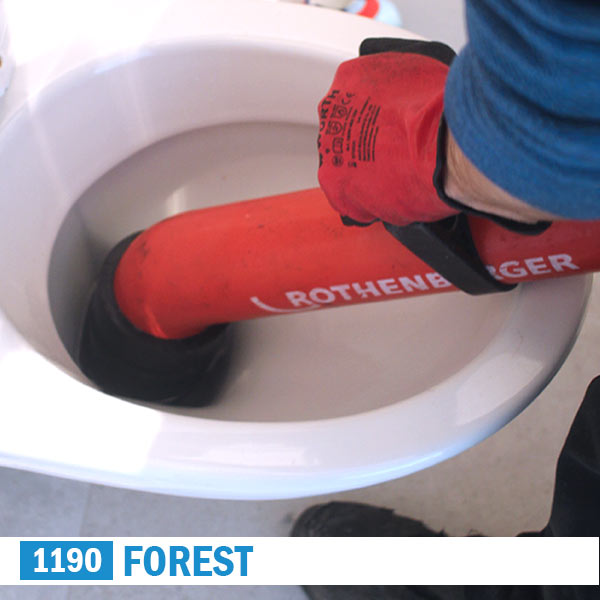 debouchage forest wc