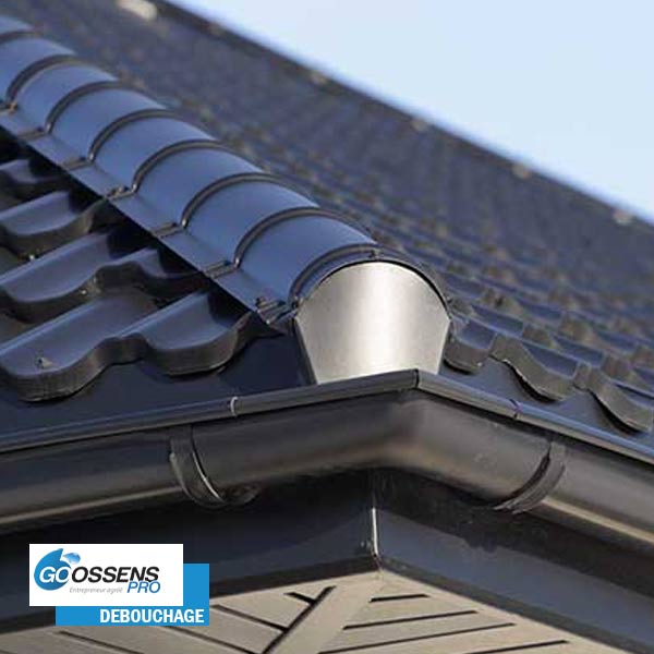 nettoyage debouchage corniche